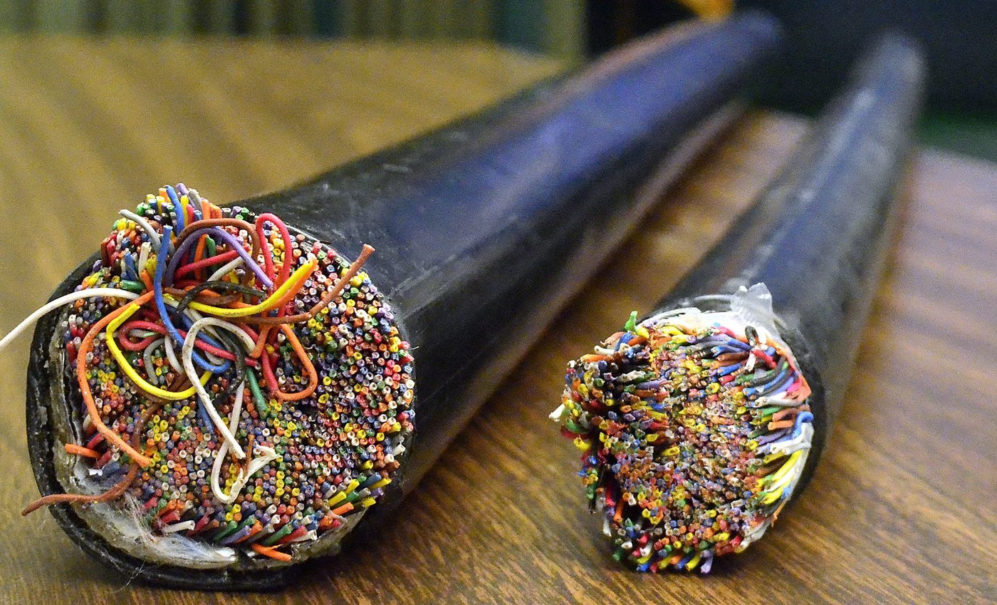 Suspect allegedly cut down telecommunications lines to steal copper cable: Halton police