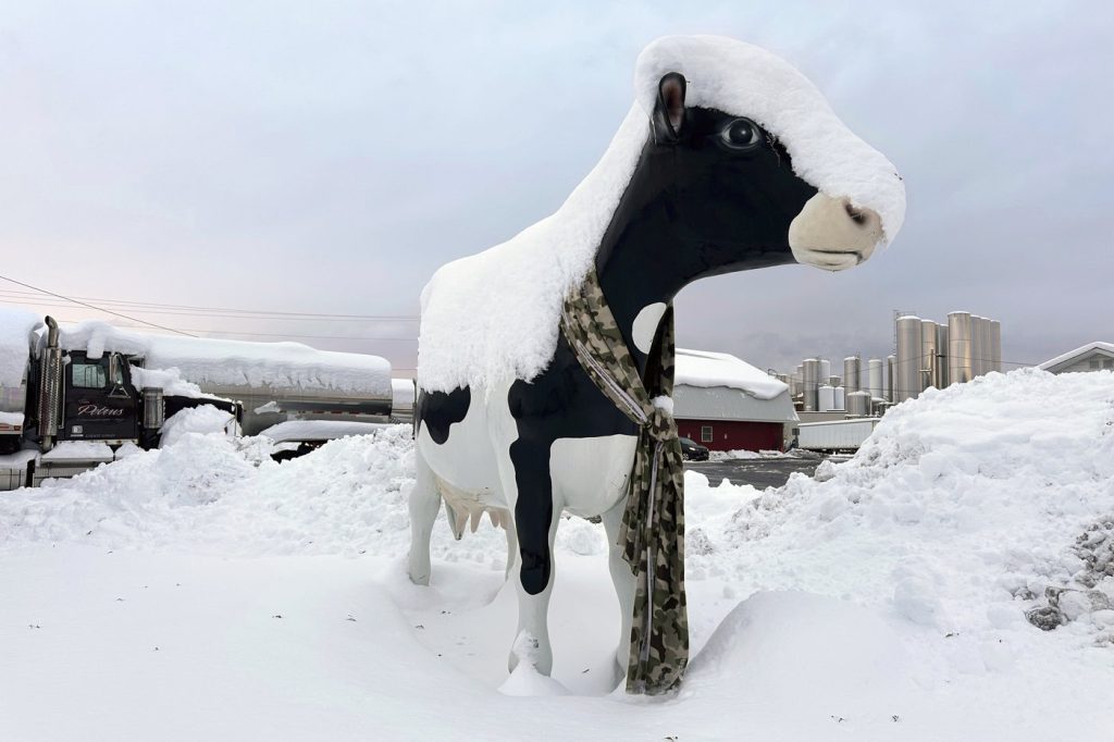 Great Lakes region faces more snow after weekend of harsh U.S.holiday weather