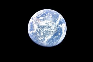 Canadians struggling to shop environmentally on Earth Day: survey