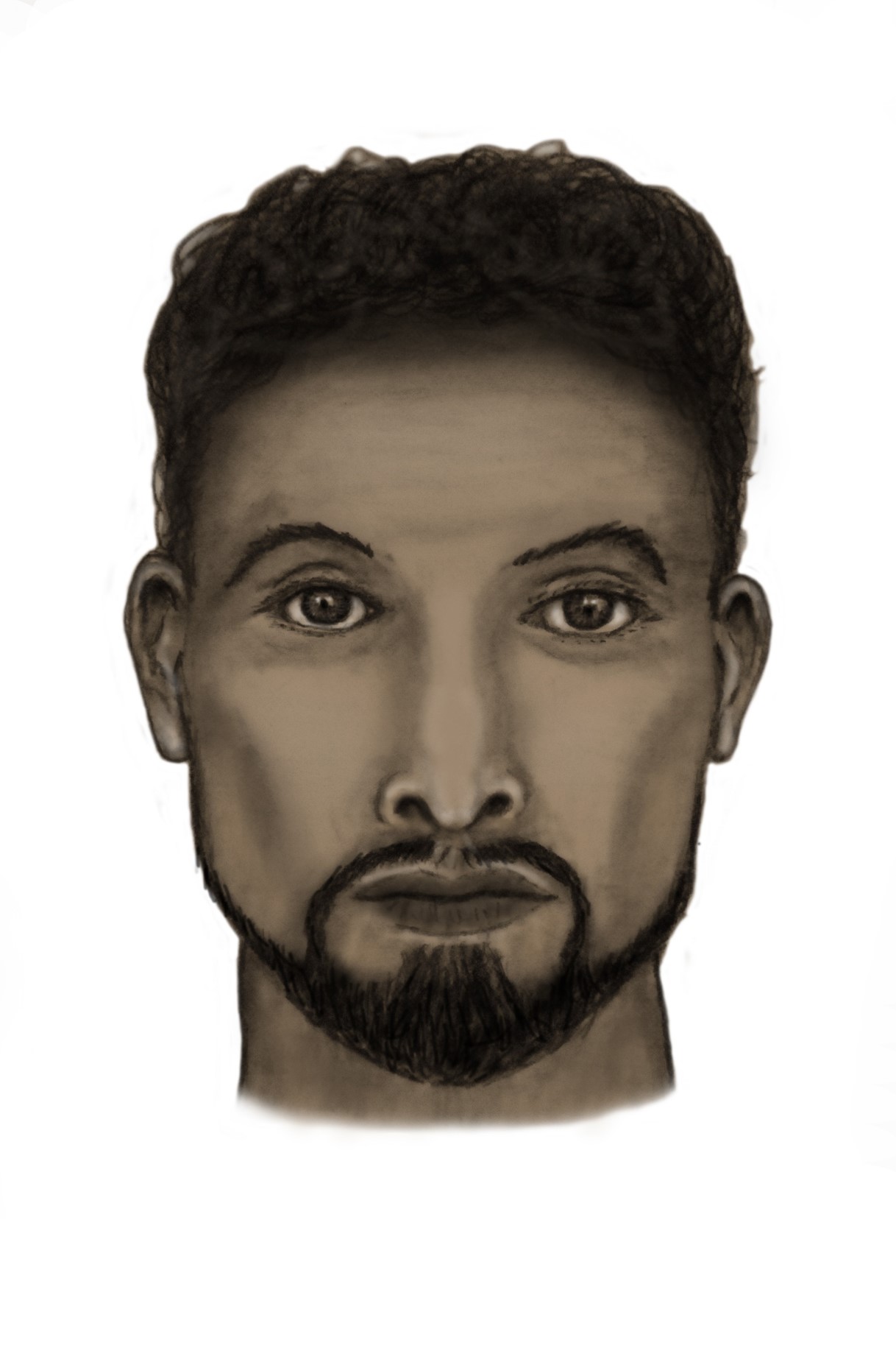 Peel Police Seek Public Help in Brampton Attempted Kidnap Case