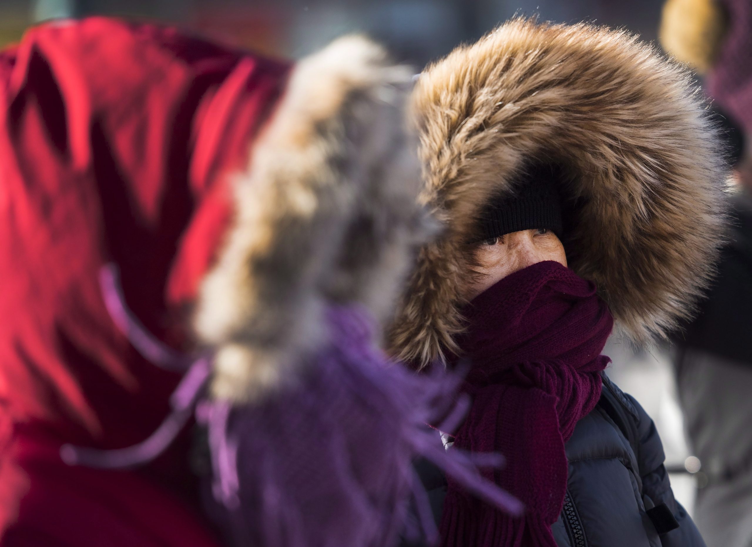 Bitter cold arrives in Toronto following weekend of historic snowfall