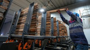 Workers stack and sort as softwood lumber is cut at Groupe Crete, a sawmill in Mont-Blanc, Que., on Jan. 20, 2025