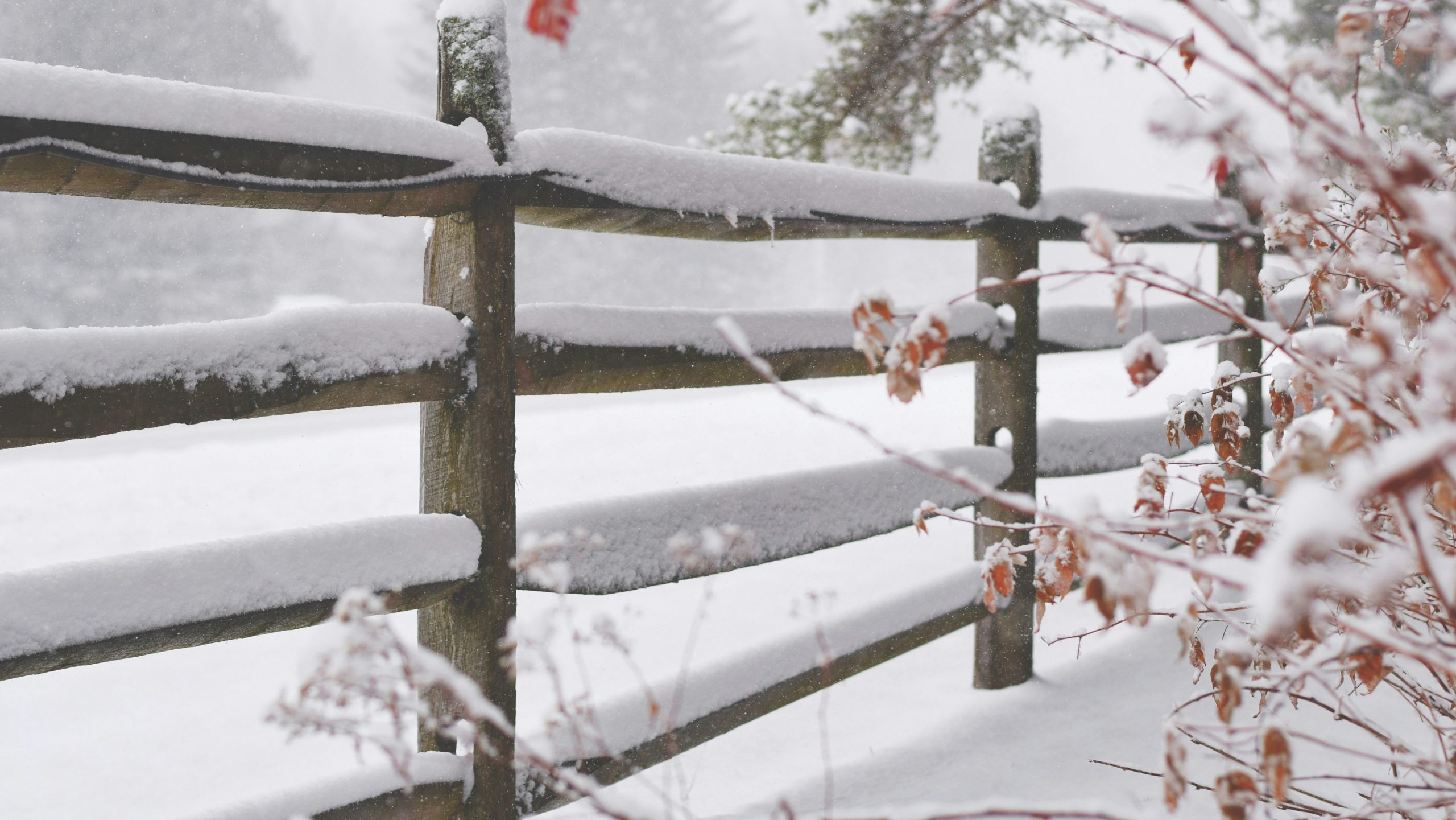 Toronto, GTA set to receive up to 10 cm of snow this weekend