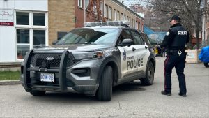 Woman stabbed in the head near St. Lawrence neighbourhood, police say
