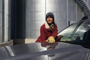 ‘It feels personal’: Canadian farmers cope with Chinese tariffs on canola and peas