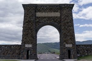 Florida man gored by bison in year’s first attack by Yellowstone’s most dangerous wild animal