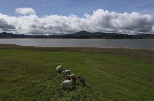 Mexico says US suspension of beef imports because of screwworm is unfair