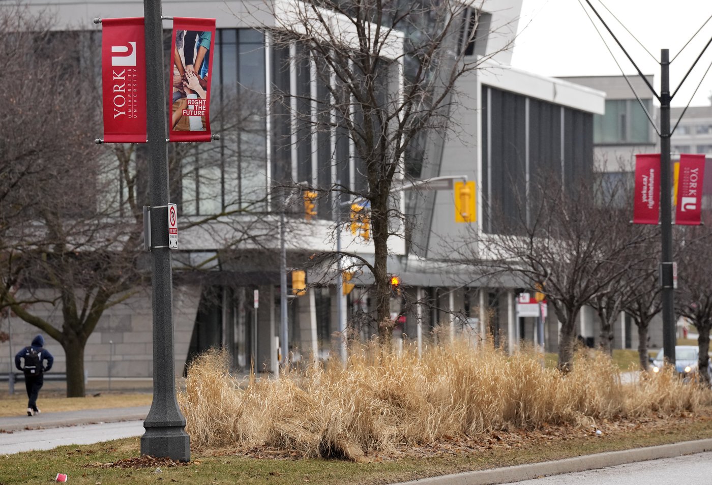 Post-secondary schools brace for more pain as Ottawa cuts international student visas