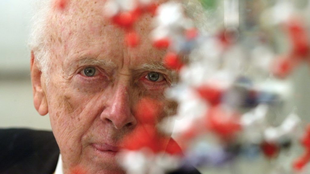 FILE - U.S. biologist James Watson, who shared a Nobel prize for helping discover the double-helix shape of the DNA molecule, poses for a portrait at an exhibition in Berlin on Monday, Oct. 11, 2004. (AP Photo/Markus Schreiber, File)