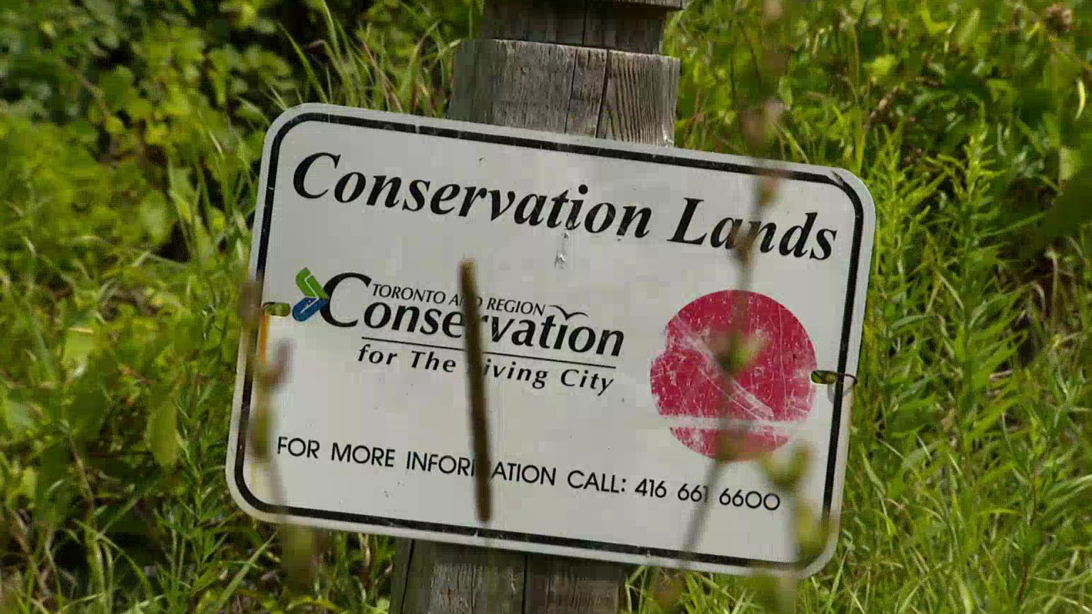 Ontario's Conservation Authorities Face Major Overhaul