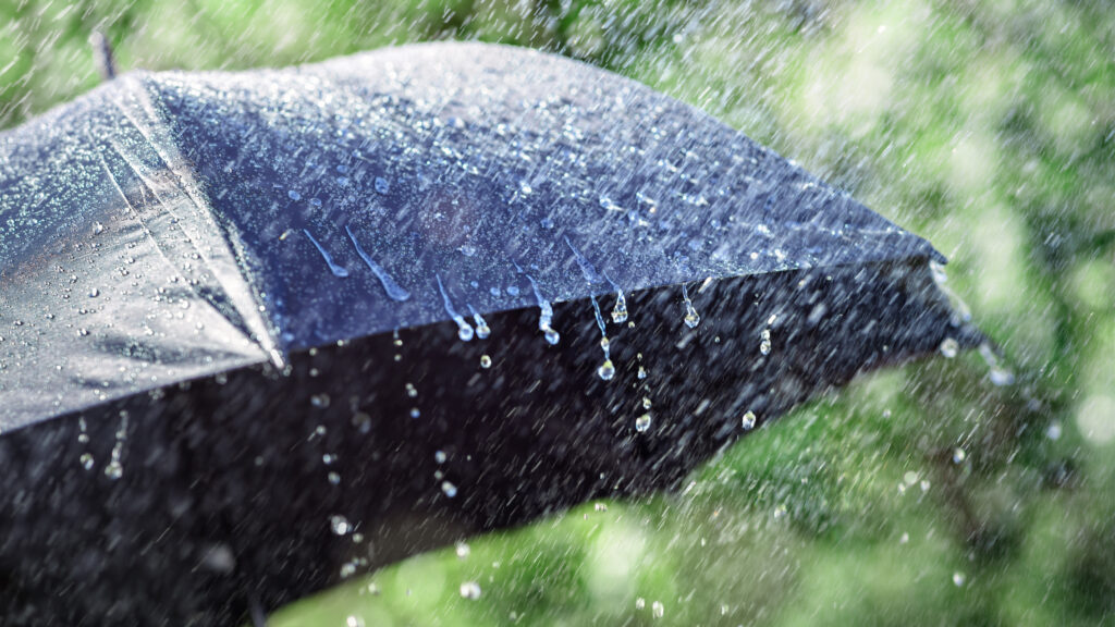 Rain on umbrella background, weather forecast and environmental concept. Photo: iStock/Getty.