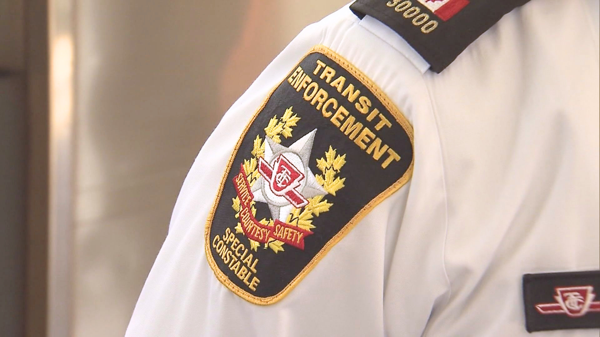 toronto.citynews.ca