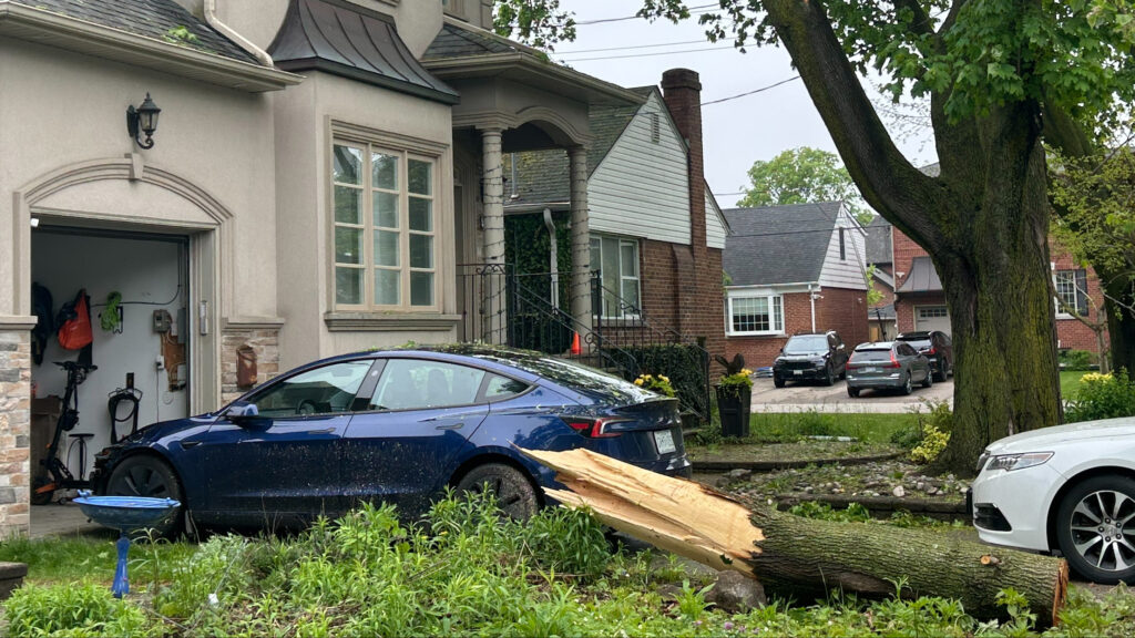 Toronto Fire Services responded to nearly 700 emergency calls during heavy storm
