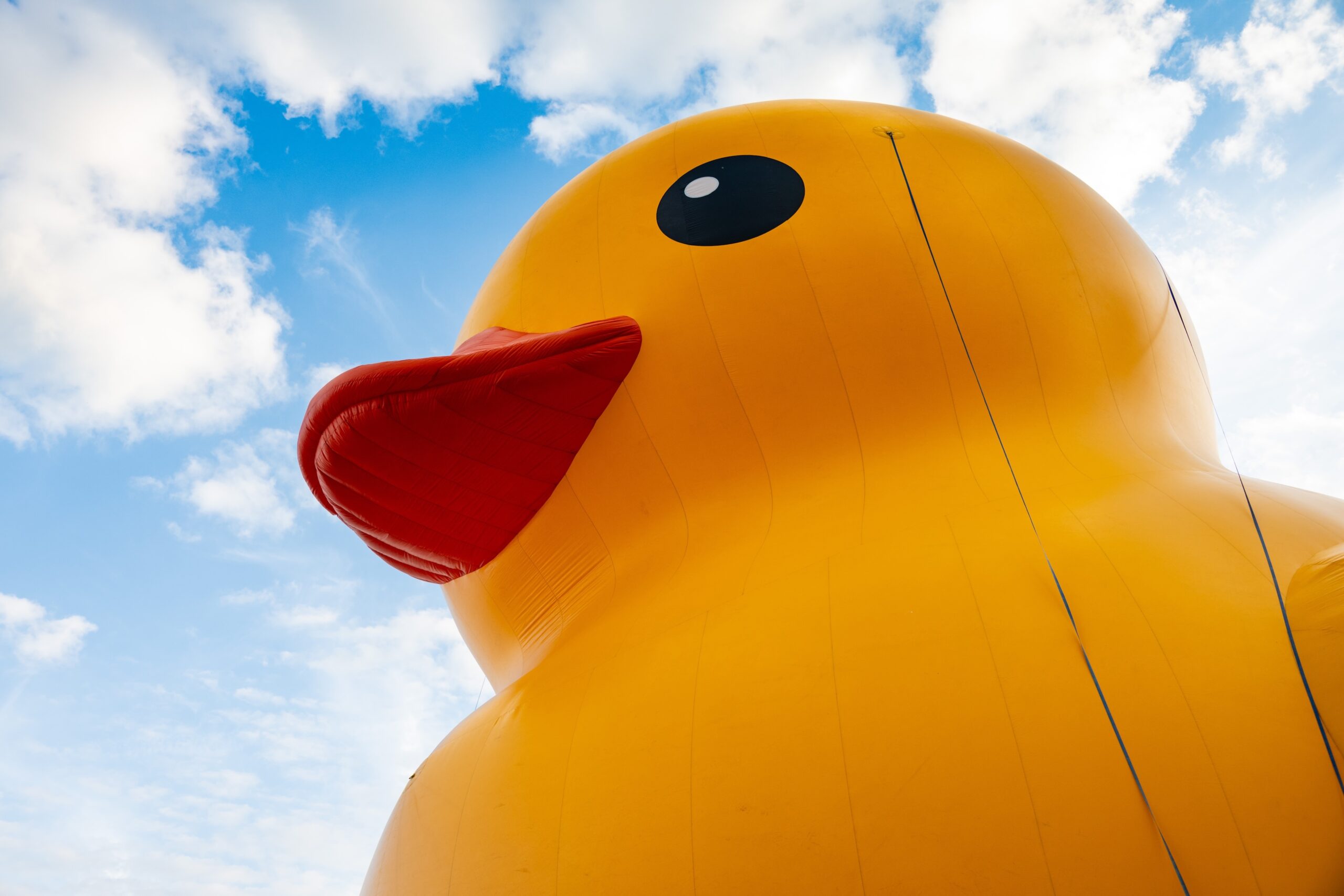 Toronto Waterfront Festival cancelled for 2026, ‘Mama Duck' expected to return in 2027