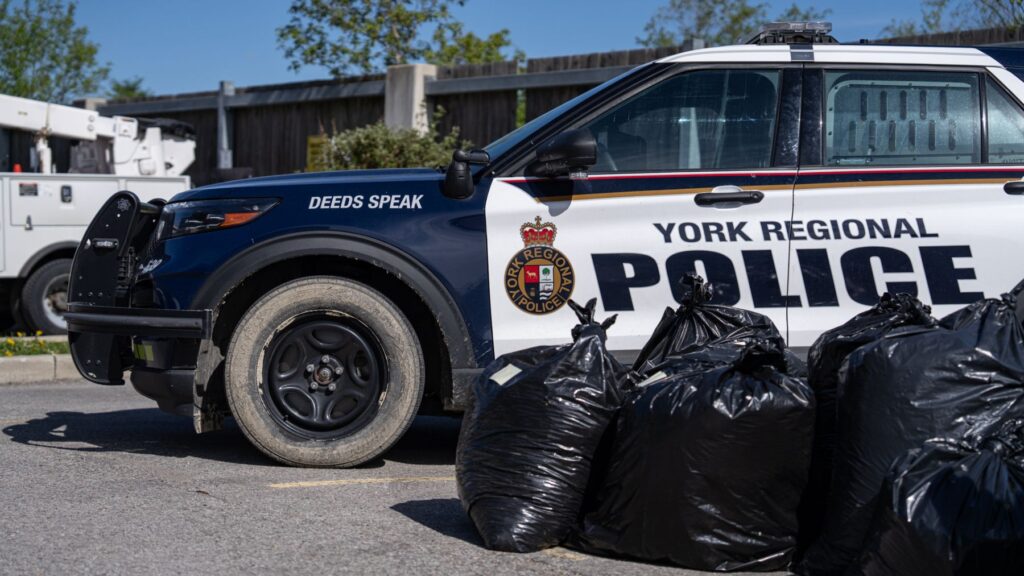 York police seize $3.4M of illegal cannabis, 5 suspects charged
