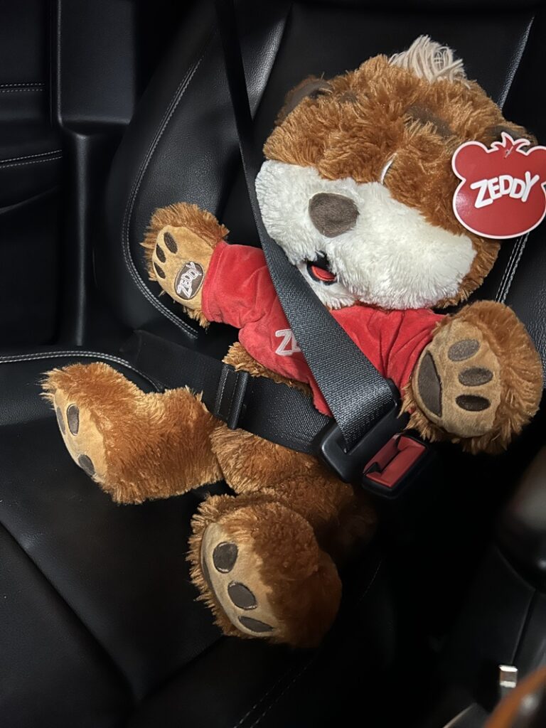 Zellers' iconic plush toy Zeddy is ready for the retailer's comeback. Photo by: Photo by: Peter Dworschak/CityNews