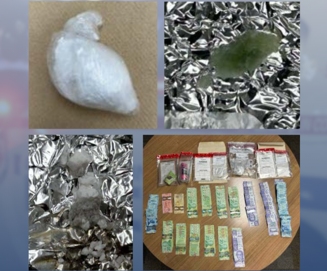 Project Keystone leads to 12 arrests, drug seizures in Brock Township