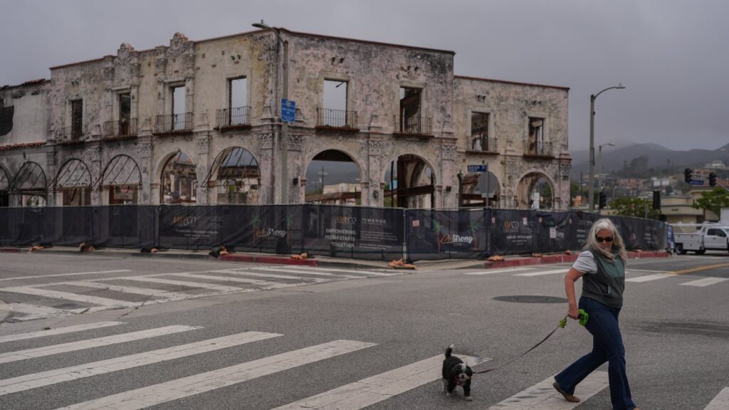 D. Berryman walks her dog, Tiny Dancer, past a fire-damaged building more than a year after the Palisades Fire in the Pacific Palisades neighborhood of Los Angeles, Thursday, June 4, 2026. (AP Photo/Jae C. Hong)
