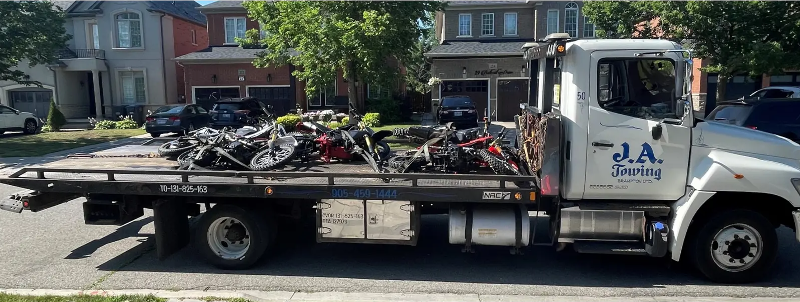 toronto.citynews.ca
